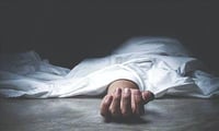 Person kills his mother in law for his wife?